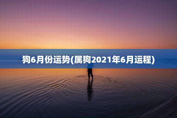 狗6月份运势(属狗2021年6月运程)
