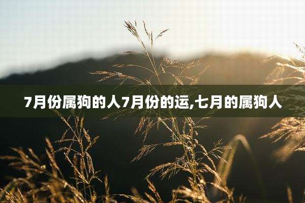 7月份属狗的人7月份的运,七月的属狗人