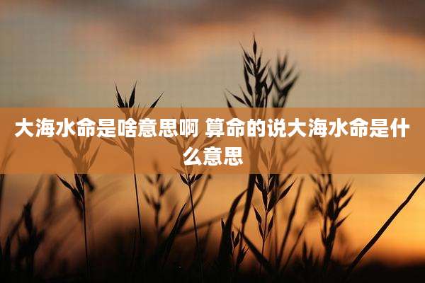 大海水命是啥意思啊 算命的说大海水命是什么意思