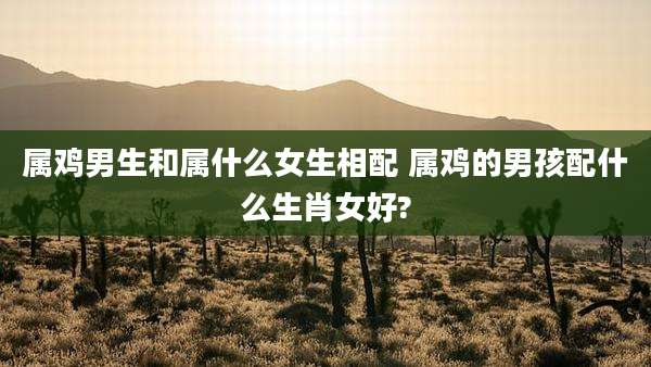 属鸡男生和属什么女生相配 属鸡的男孩配什么生肖女好?