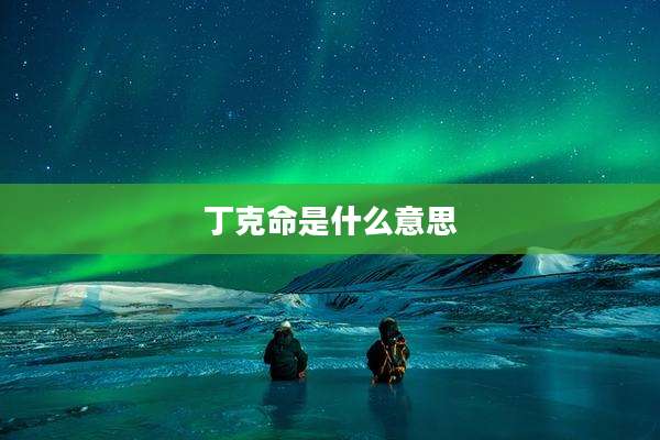 丁克命是什么意思