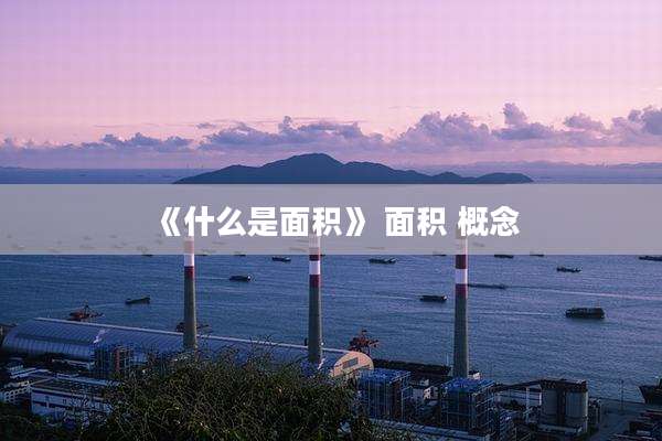 《什么是面积》 面积 概念