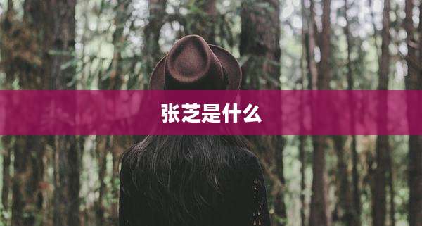 张芝是什么