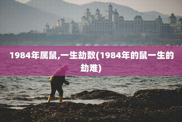 1984年属鼠,一生劫数(1984年的鼠一生的劫难)
