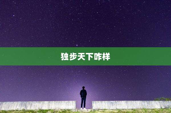独步天下咋样