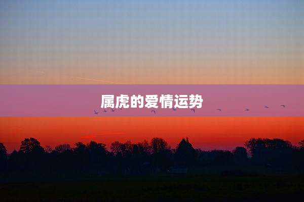 属虎的爱情运势