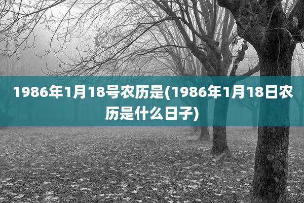 1986年1月18号农历是(1986年1月18日农历是什么日子)