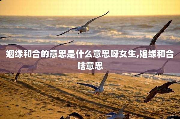 姻缘和合的意思是什么意思呀女生,姻缘和合啥意思