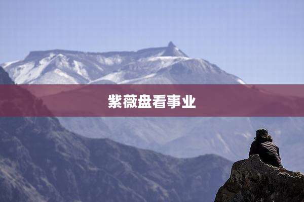紫薇盘看事业