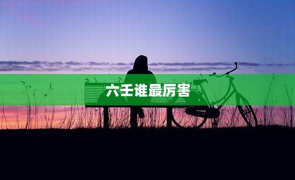 六壬谁最厉害