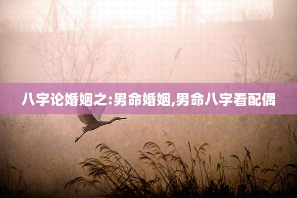 八字论婚姻之:男命婚姻,男命八字看配偶