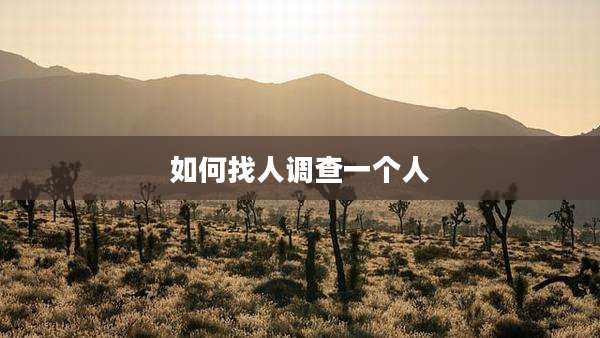 如何找人调查一个人