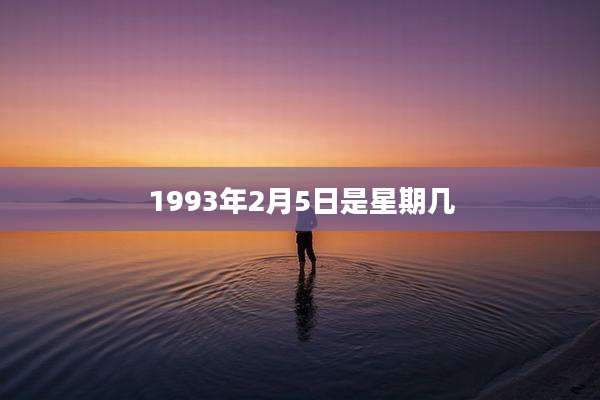 1993年2月5日是星期几