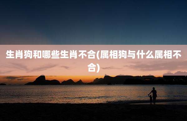 生肖狗和哪些生肖不合(属相狗与什么属相不合)
