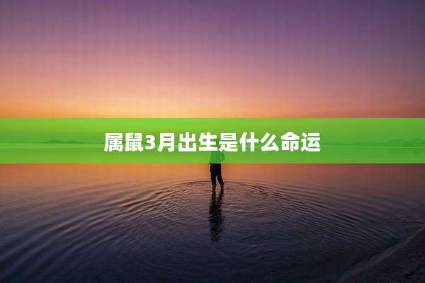 属鼠3月出生是什么命运