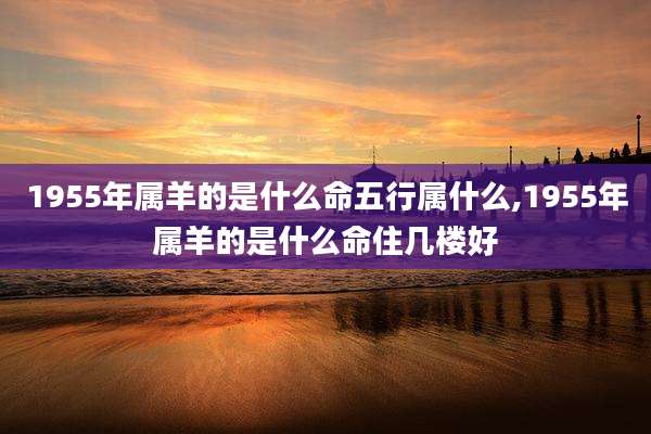 1955年属羊的是什么命五行属什么,1955年属羊的是什么命住几楼好