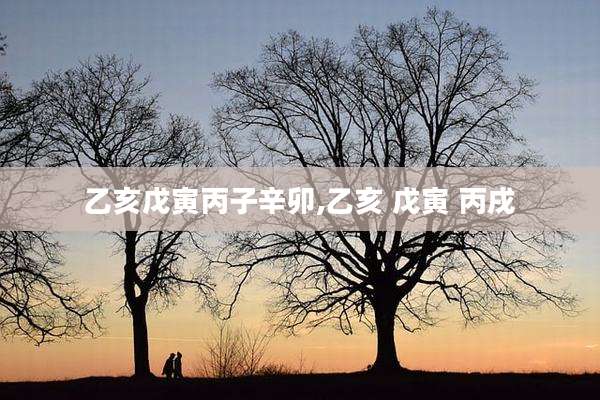 乙亥戊寅丙子辛卯,乙亥 戊寅 丙戌