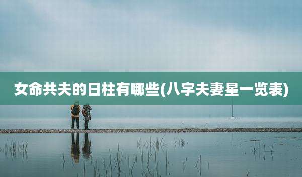 女命共夫的日柱有哪些(八字夫妻星一览表)