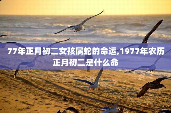 77年正月初二女孩属蛇的命运,1977年农历正月初二是什么命