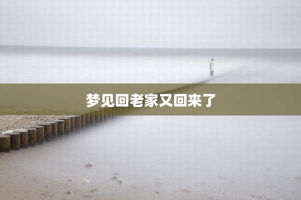 梦见回老家又回来了