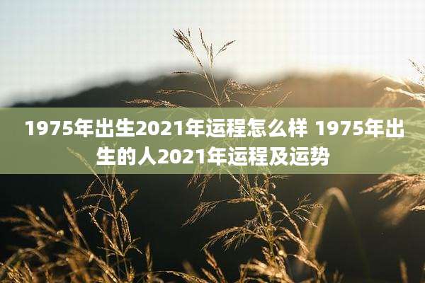 1975年出生2021年运程怎么样 1975年出生的人2021年运程及运势