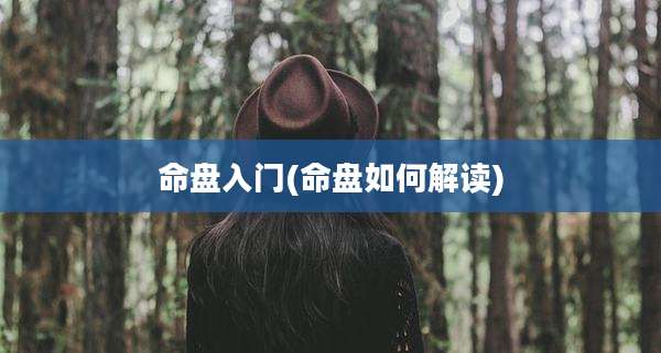 命盘入门(命盘如何解读)