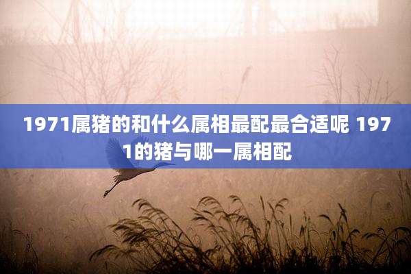 1971属猪的和什么属相最配最合适呢 1971的猪与哪一属相配