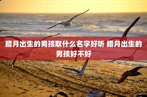 腊月出生的男孩取什么名字好听 腊月出生的男孩好不好