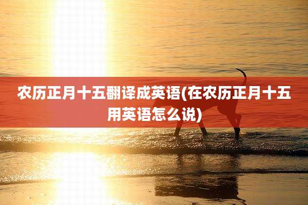农历正月十五翻译成英语(在农历正月十五用英语怎么说)