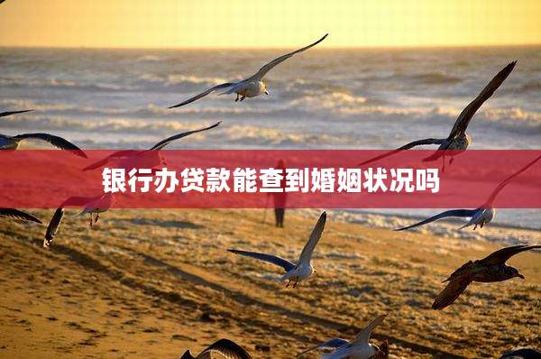 银行办贷款能查到婚姻状况吗