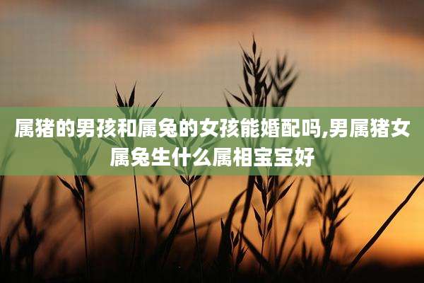 属猪的男孩和属兔的女孩能婚配吗,男属猪女属兔生什么属相宝宝好