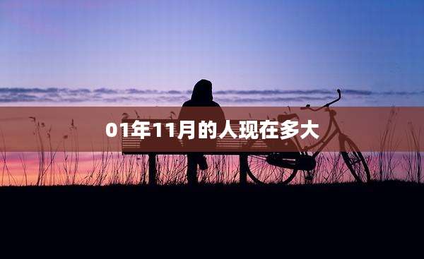 01年11月的人现在多大