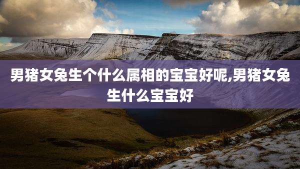 男猪女兔生个什么属相的宝宝好呢,男猪女兔生什么宝宝好