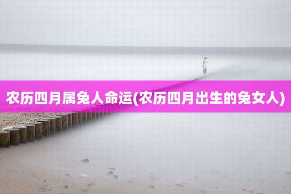 农历四月属兔人命运(农历四月出生的兔女人)