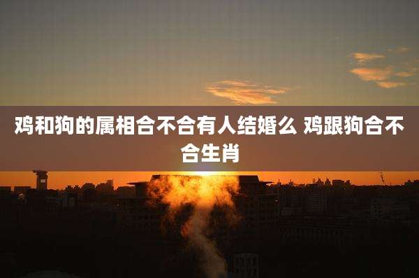 鸡和狗的属相合不合有人结婚么 鸡跟狗合不合生肖