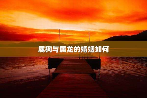 属狗与属龙的婚姻如何