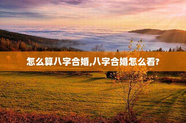 怎么算八字合婚,八字合婚怎么看?
