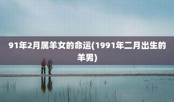 91年2月属羊女的命运(1991年二月出生的羊男)