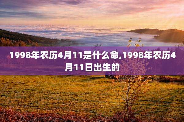 1998年农历4月11是什么命,1998年农历4月11日出生的