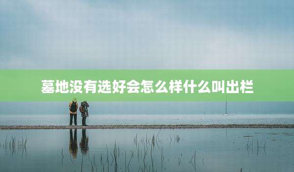 墓地没有选好会怎么样什么叫出栏