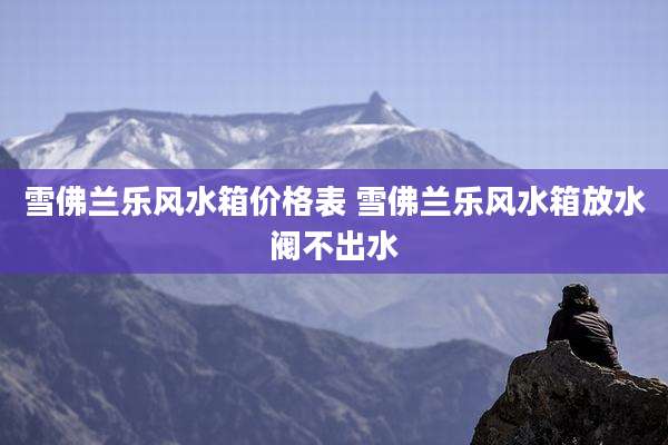 雪佛兰乐风水箱价格表 雪佛兰乐风水箱放水阀不出水