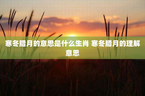 寒冬腊月的意思是什么生肖 寒冬腊月的理解意思