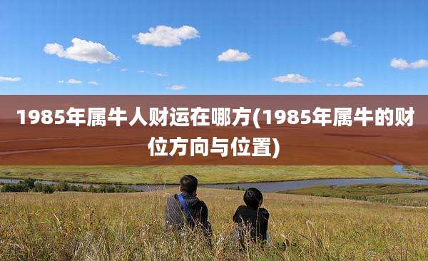 1985年属牛人财运在哪方(1985年属牛的财位方向与位置)