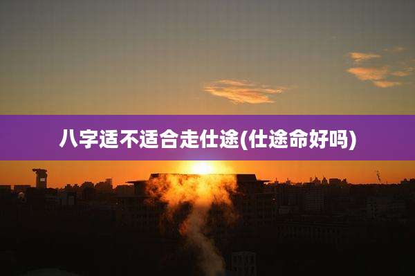 八字适不适合走仕途(仕途命好吗)