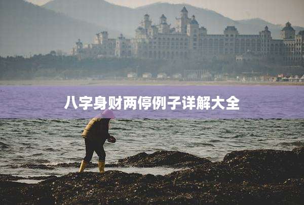 八字身财两停例子详解大全