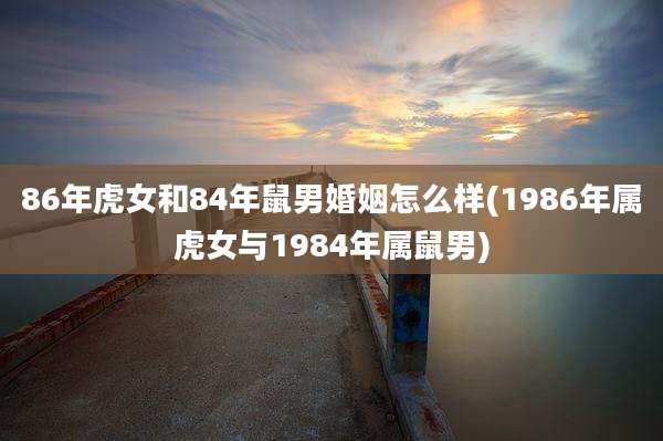 86年虎女和84年鼠男婚姻怎么样(1986年属虎女与1984年属鼠男)