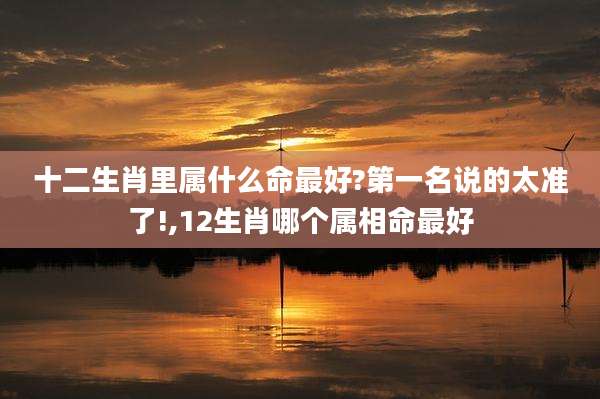 十二生肖里属什么命最好?第一名说的太准了!,12生肖哪个属相命最好