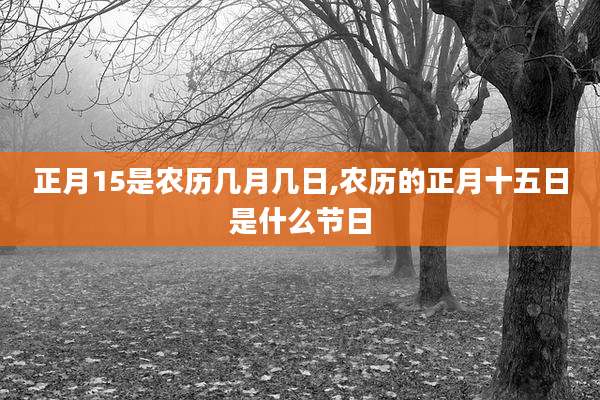 正月15是农历几月几日,农历的正月十五日是什么节日
