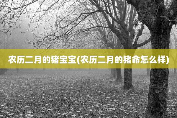 农历二月的猪宝宝(农历二月的猪命怎么样)