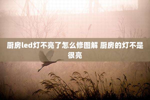 厨房led灯不亮了怎么修图解 厨房的灯不是很亮